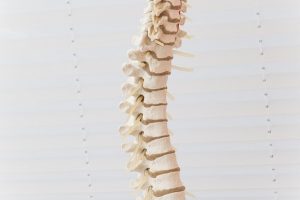 What is a Spinal Subluxation1